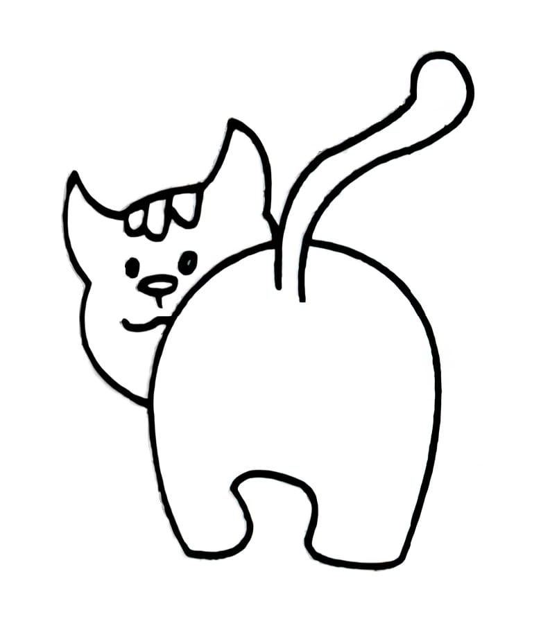 cat that turns its head