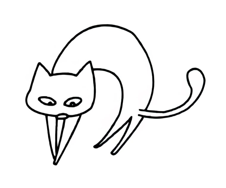 cat with bent body