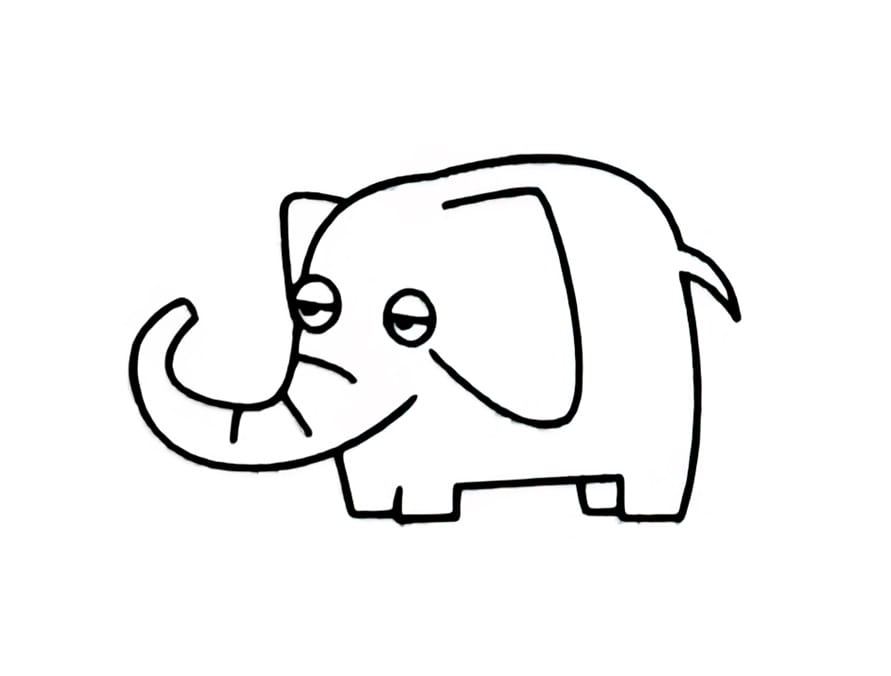 chubby elephant