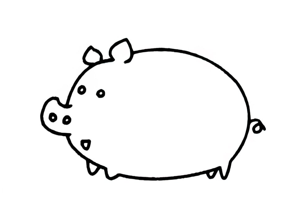 pig