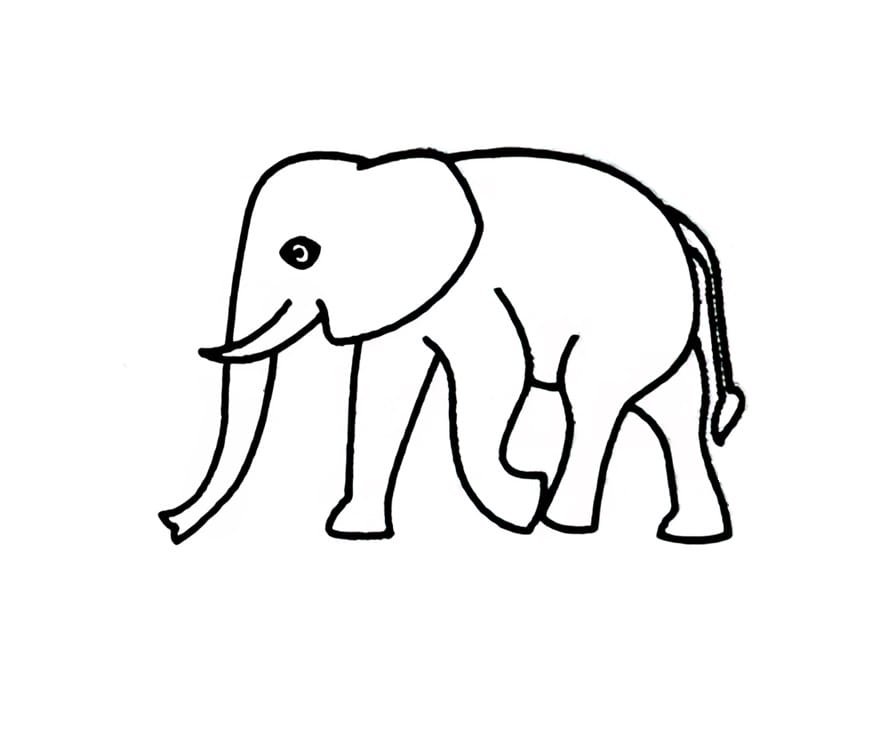 elephants