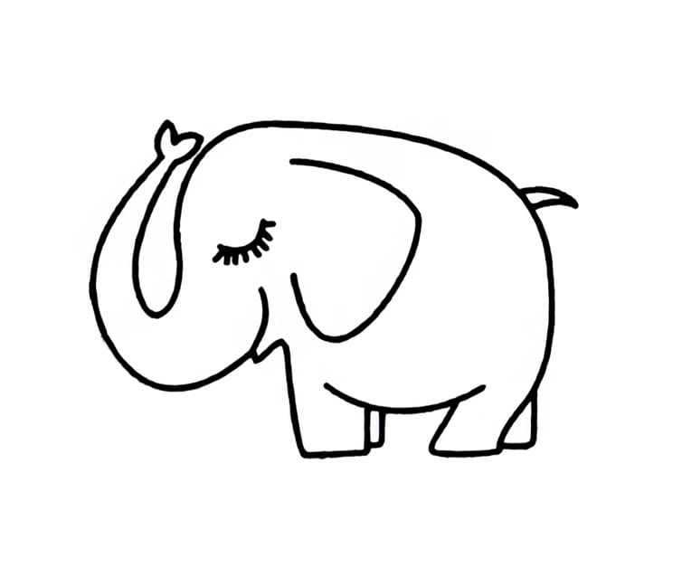 shy elephant