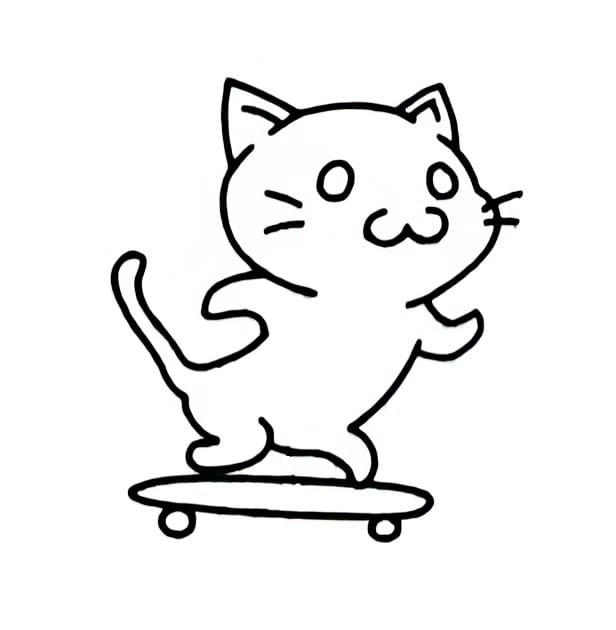 skateboarding cat